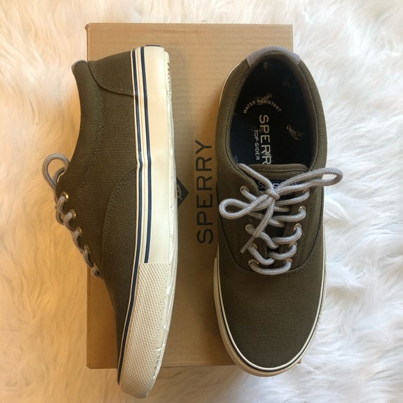 Sperry Other - Men's SPERRY Striper Storm Canvas Olive Sneaker
